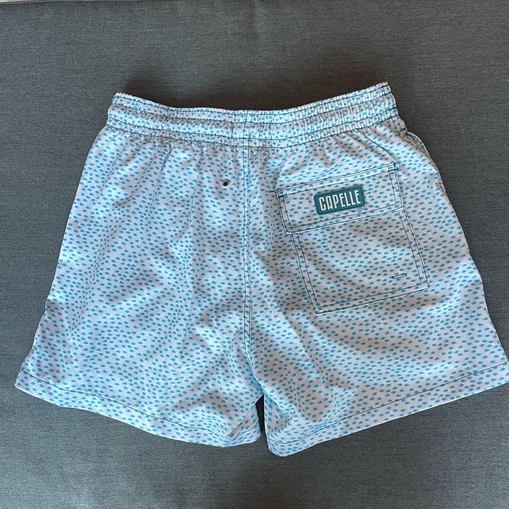 BLUE & WHITE HYBRID SWIM SHORT | Small - Picture 5 of 7